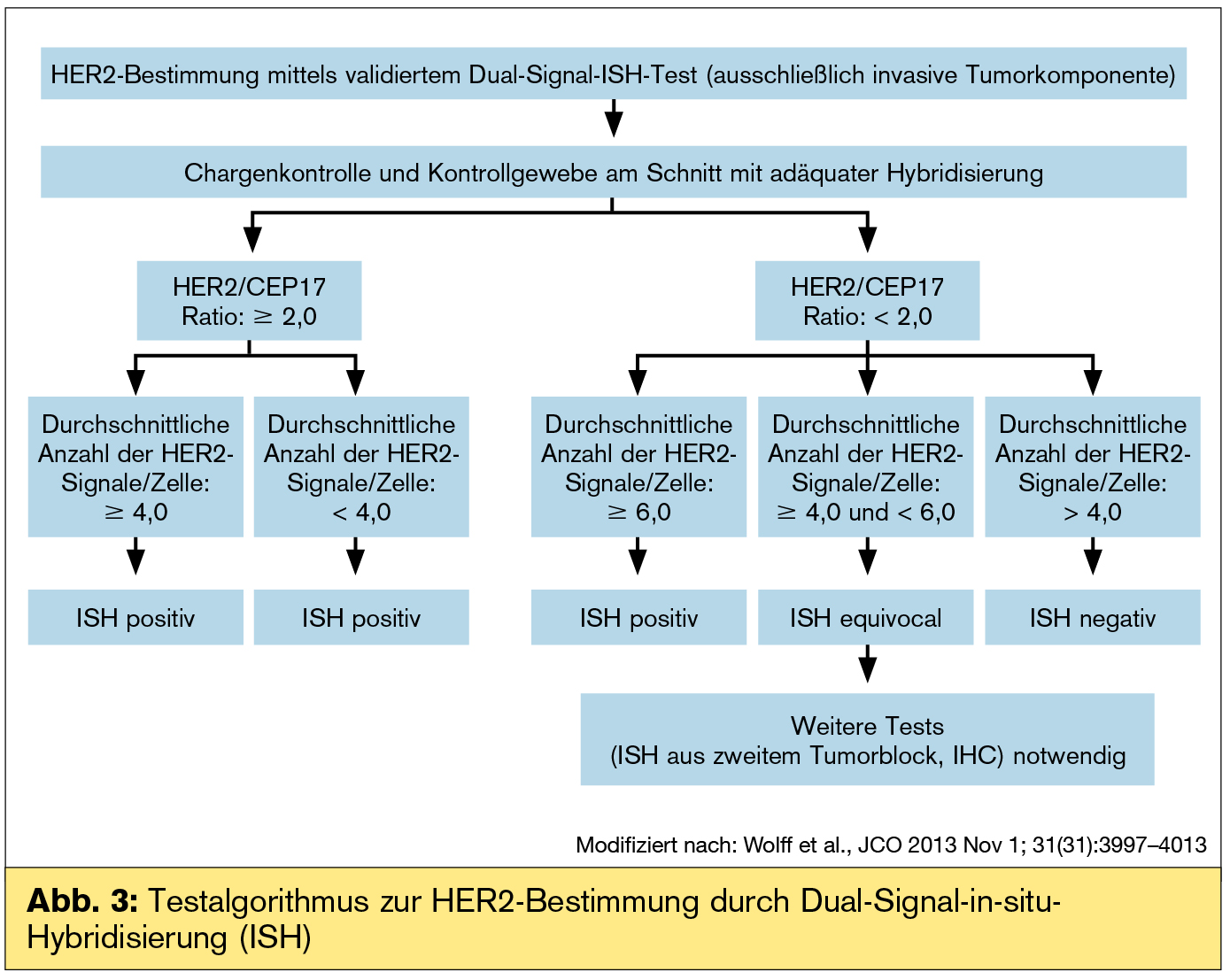 Aktualisierte ASCO/USCAP-Richtlinien: HER2-Bestimmung Beim ...